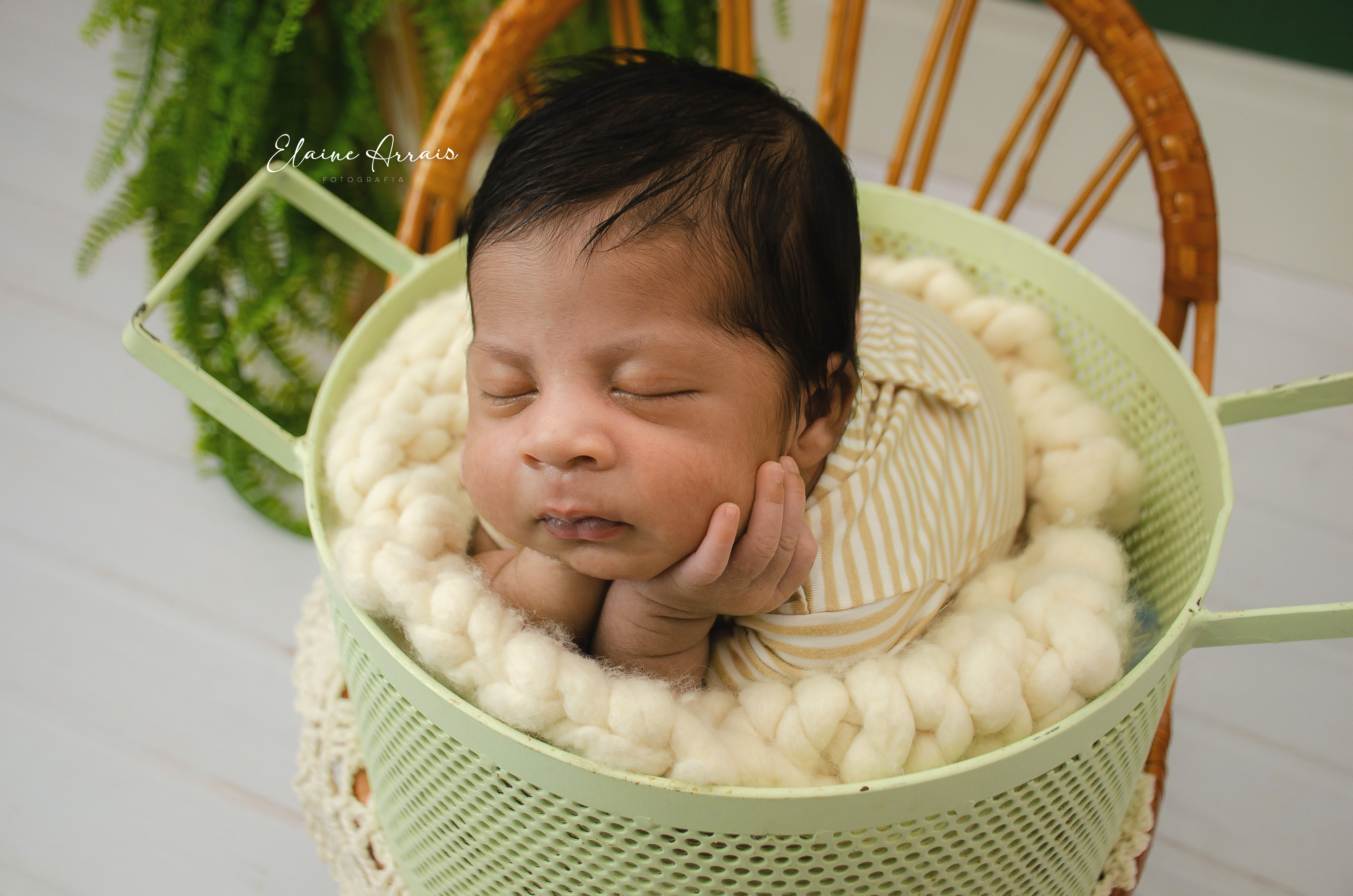 Elaine Arrais Fotografia